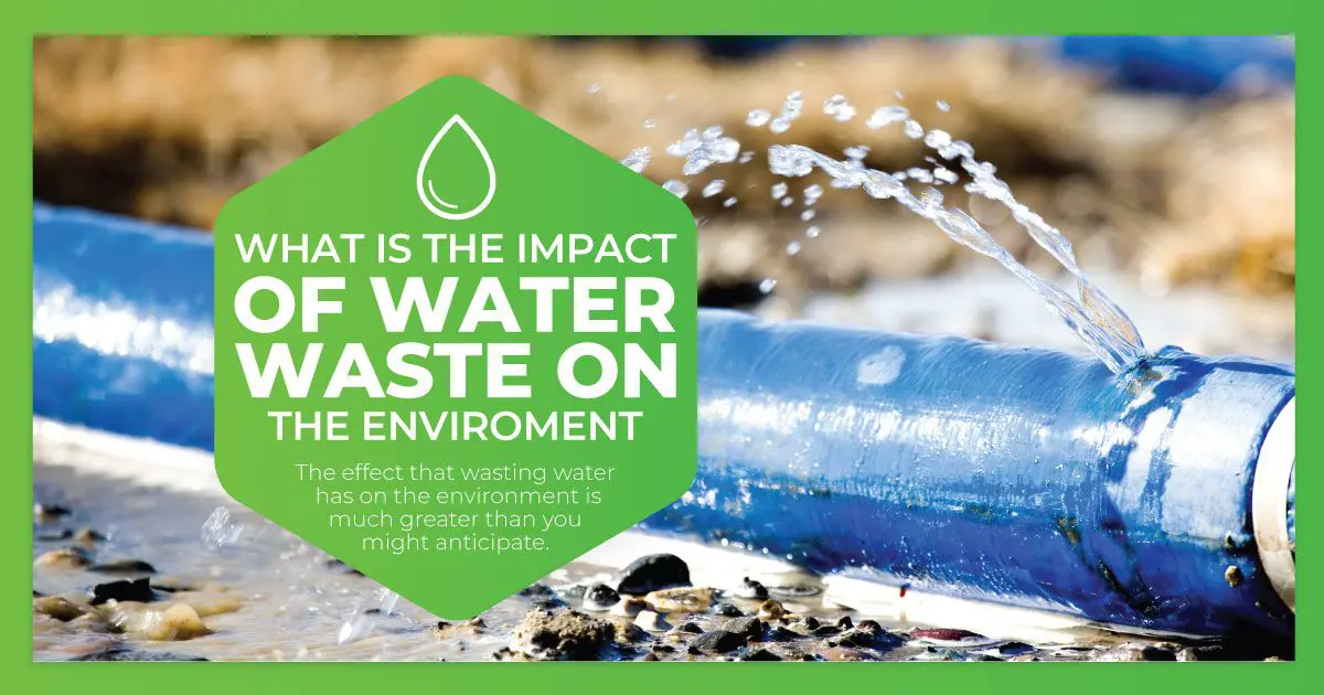 What Is The Impact Of Water Waste On The Environment?