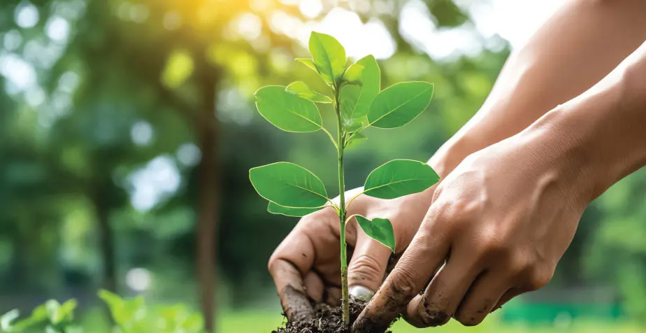 How Businesses Are Leading the Way on Climate and Sustainability