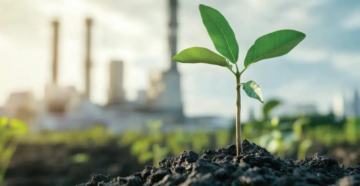 How Do Carbon Credits Work?