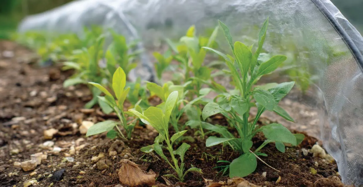 Biodiversity Net Gain Units For Landowners