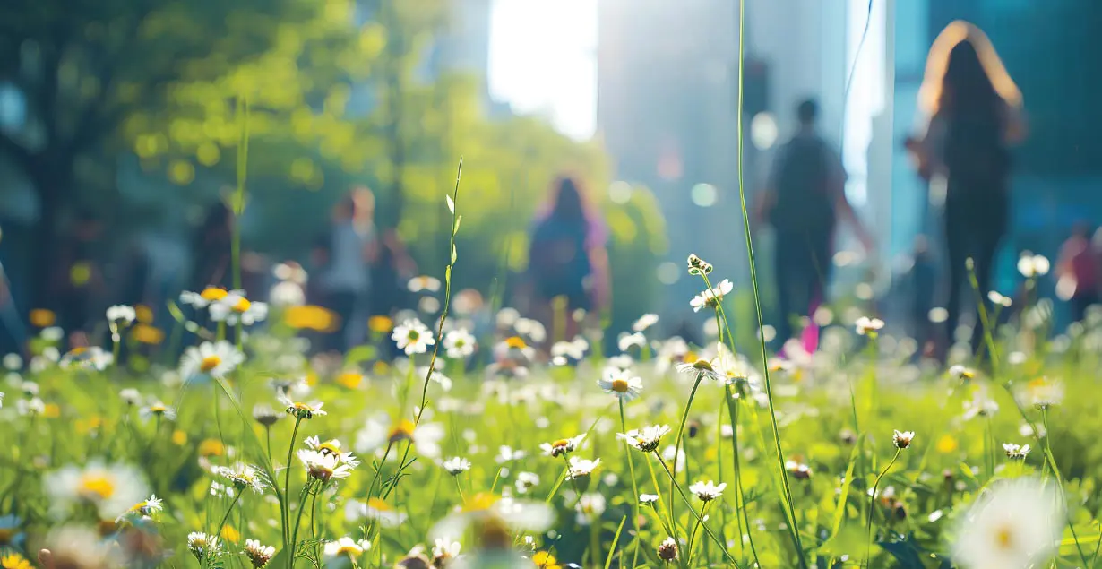 Build Sustainably with Nature in Mind