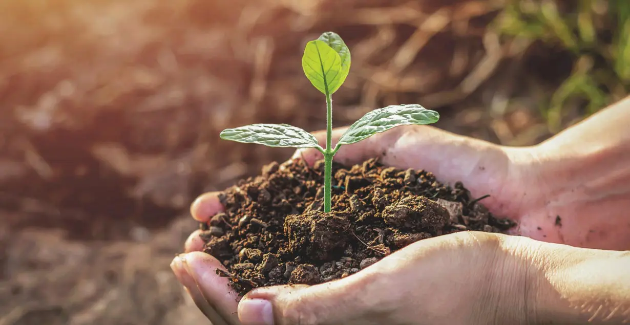 Three Ways to Meet BNG Requirements