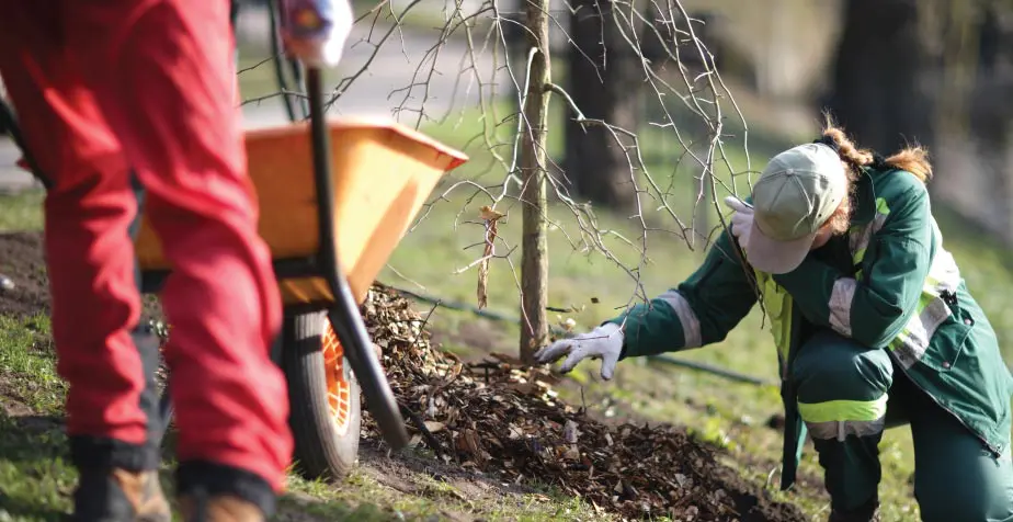 A New Standard for Building With Nature in Mind