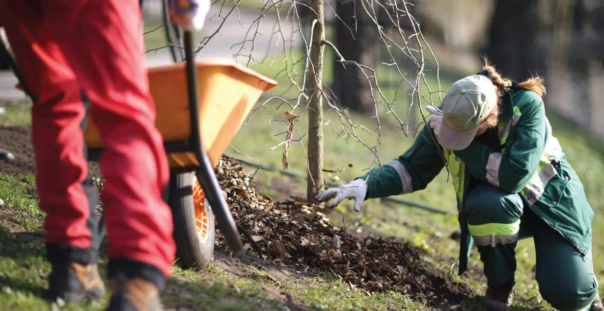 Unlocking New Value and Revenue Streams With Your Land