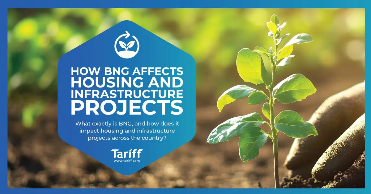 How BNG Affects Housing and Infrastructure Projects
