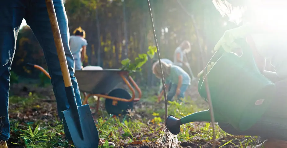 Why the Nature Market Matters for the UK’s Future