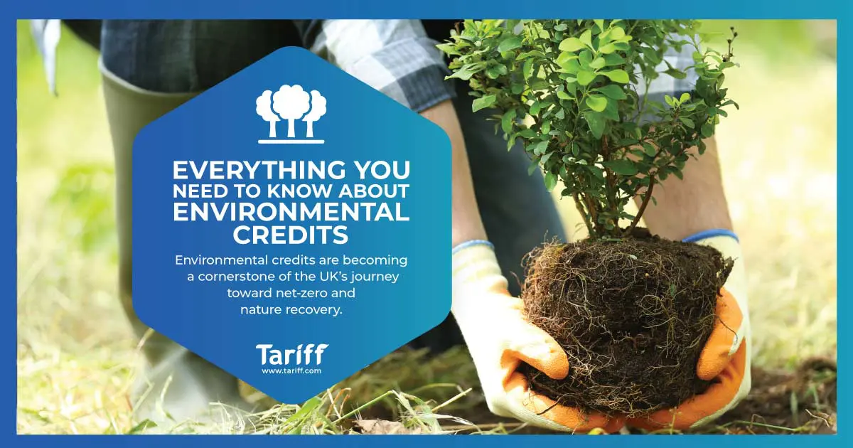 Everything You Need to Know About Environmental Credits