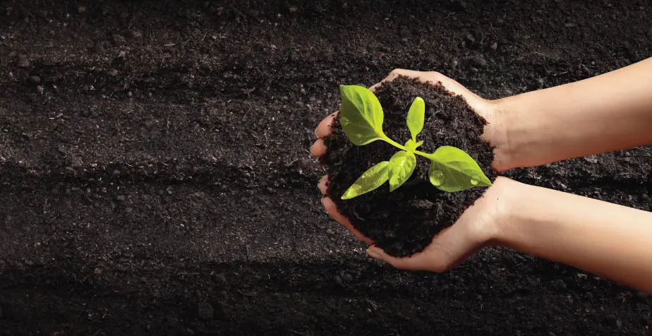 Nutrient Credits For Business & Landowners