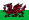 Flag of Wales featuring a red dragon on a green and white background.