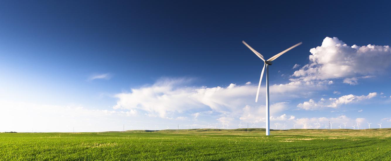 Is your business looking to switch to a green electricity tariff?