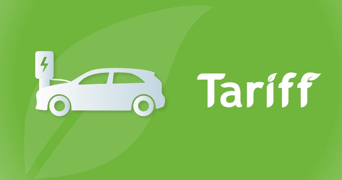 Electric Vehicles and the Impact on the Environment