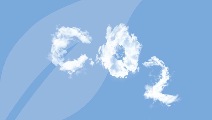Increasing Carbon Footprints - Biggest Environmental Issues of 2023