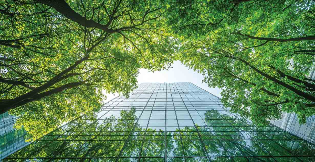 Green Energy For Enterprise Businesses