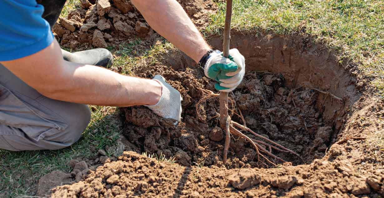 Offset Your Large Business Energy